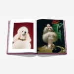 Raamat Chic Dogs - Image 7