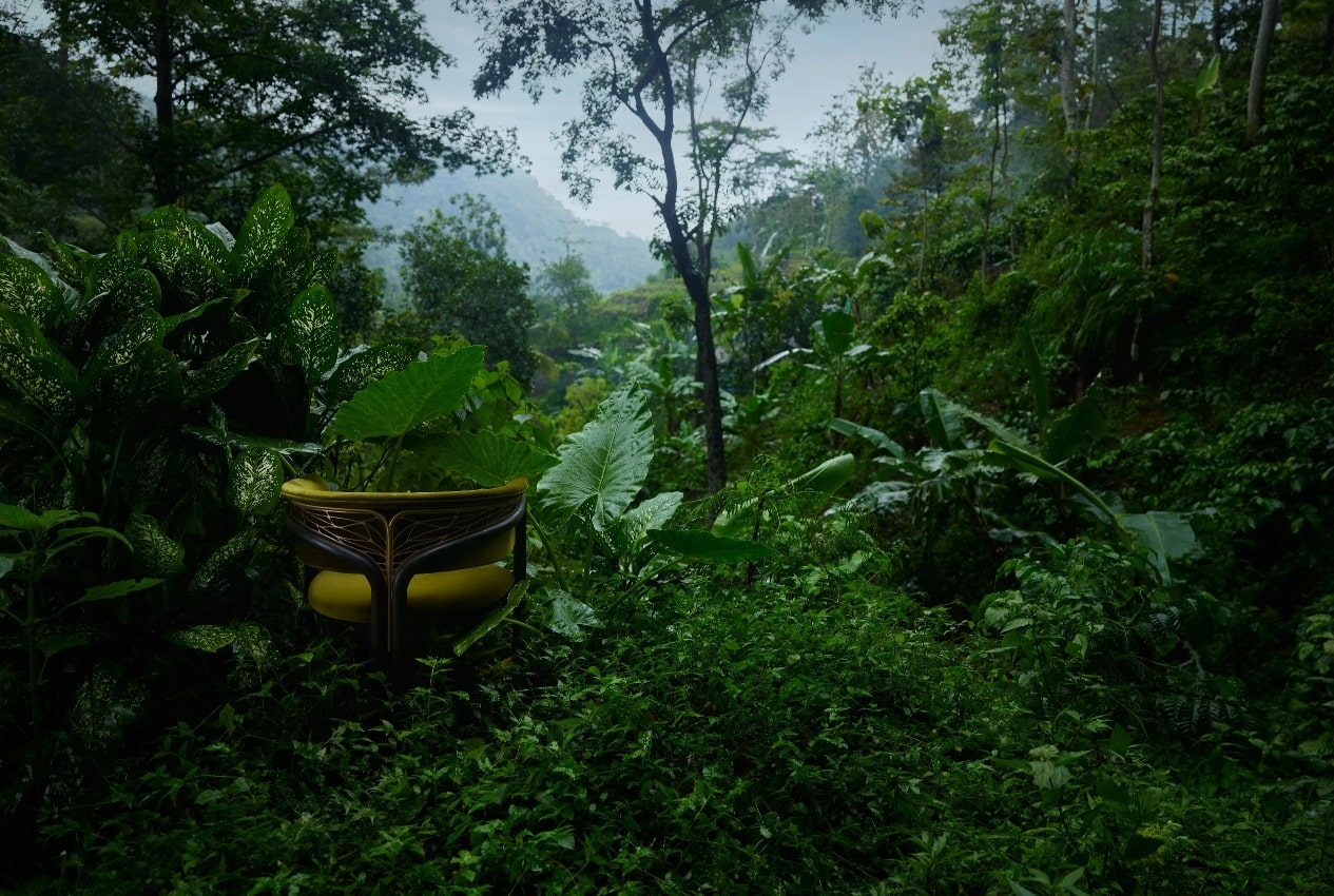 Morpho_volita_tool_green Morpho_volita_tool_green